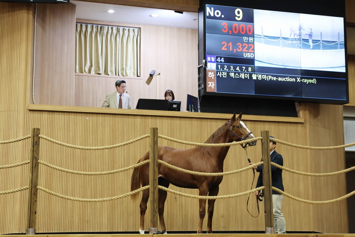 自13/14赛季欧冠以来，曼联首次单赛季欧战前6场保持不败